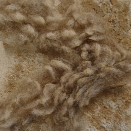 materie Texelse wol 5