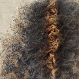 materie Texelse wol 7