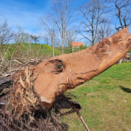 tree-animal