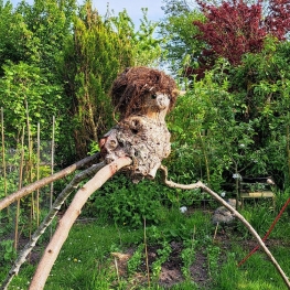 tree-animal