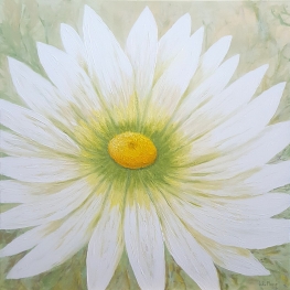 Floral 4