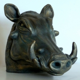 warthog head