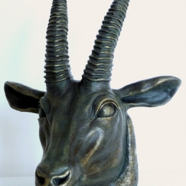 Gazelle head