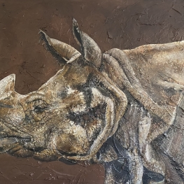 Rhinoceros 
