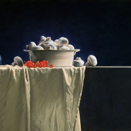 Still Life with Mushrooms