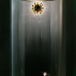 The Power for the Crown