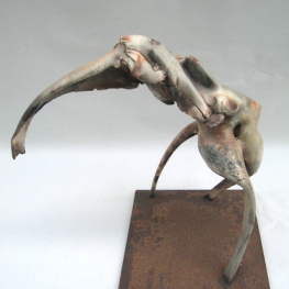tripod 017