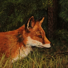 Vos