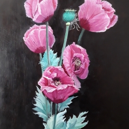 Papaver