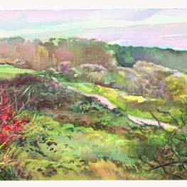 Waterleidingduinen 2