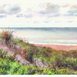 Duin, strand en zee