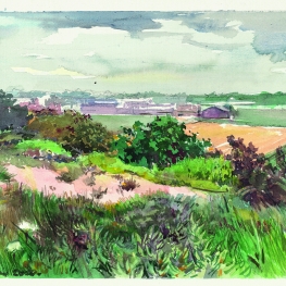 Koepelduin Noordwijk