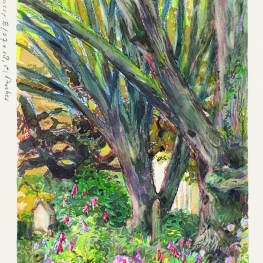 Algemene begraafplaats Haarlem