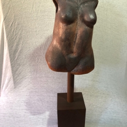 Iron body