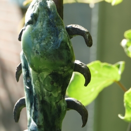 Tête grise/verte