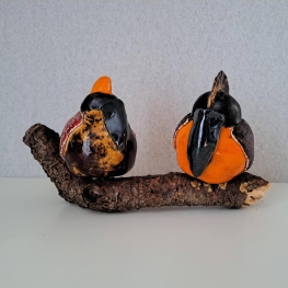 Vreemde vogels op een boomtak