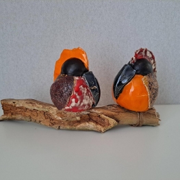 Vreemde vogels op een tak 