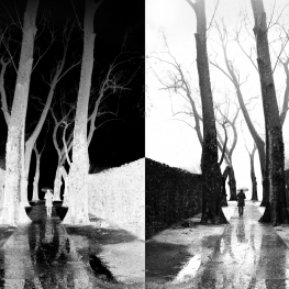 "Eternal Dance" (serie) ~ Path