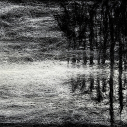 Mist