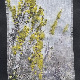Pollen II