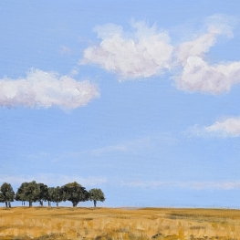 Heide - studie - 