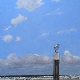 De strandwacht