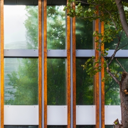 Weerspiegeling bomen