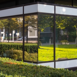 Weerspiegeling natuur Prinses Beatrixkwartier