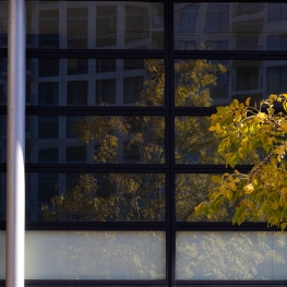 Weerspiegeling boom in herfstkleuren