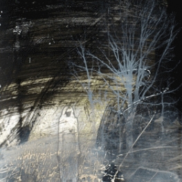 La lutte pour la vie 6