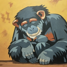 Chimpansee met jong