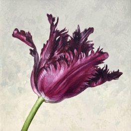 Tulpenportret 25
