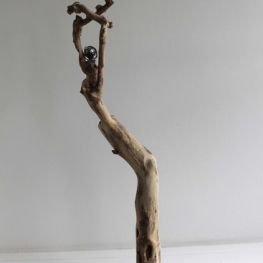 Reikend naar het licht