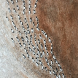 Savanna Migration