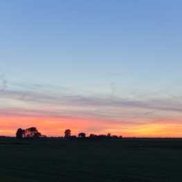 Landschap Heense Molen 2