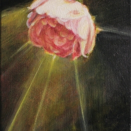 rosa lampadaire