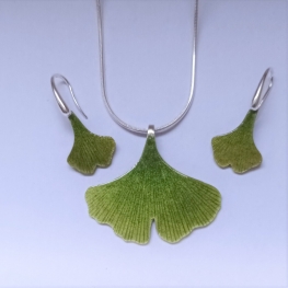Ginkgo biloba hanger