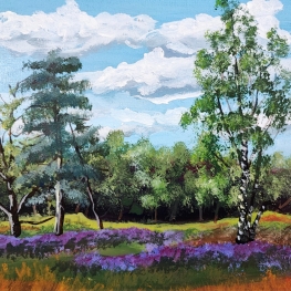 Gorsselse Heide in bloei