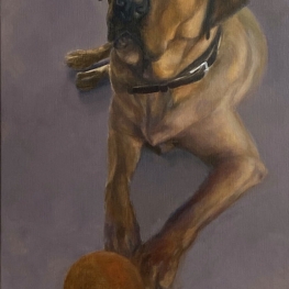 Labrador met bal
