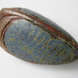 Kleine blauwe keverpop