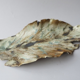 Leaf on the forestfloor