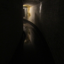 Hortus Conclusus, de Video