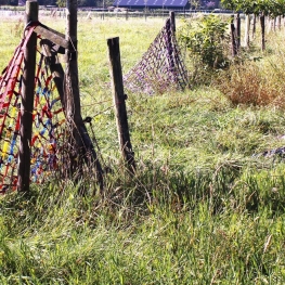Tijdelijk Verblijf 1 - Waterdicht