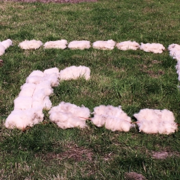 Tijdelijk Verblijf 2 - Plattegrond
