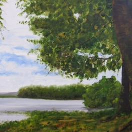 164. Lac de Méouze, Limousin, Frankrijk.