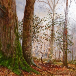 208. Dans la Forêt de St. Agnant