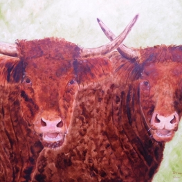 187. Deux Salers de Cantal