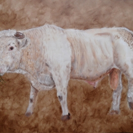 190. Le Taureau de Thierry