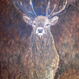 Cervus Elaphus de la Creuse