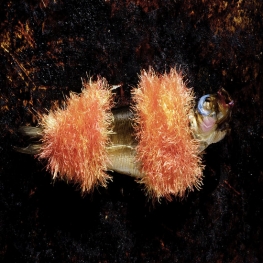 Brazilian Bikini ModelFishion show 2010, summer collection